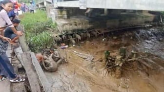 Jembatan Rusak di Inhil Makan Korban, Butuh Perhatian Pemerintah