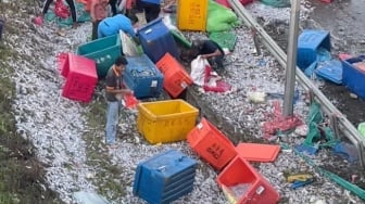 Truk Terbalik, Cumi-cumi Tumpah Ruah Jadi Rebutan Pengendara di Jalan Tol