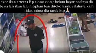 Modal Titip Ban, Pencuri di Pontianak Bawa Kabur Ikan Arwana