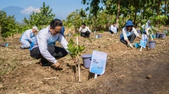 Kurangi Jejak Karbon, Pelita Air Tanam 10 Ribu Tanaman