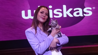 Dari Kecil Dikelilingi Kucing, Begini Kisah Raisa Hingga Punya 14 Anabul