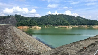 Stok Air Aman, Petani Lampung Siap Masuki Musim Tanam Kedua