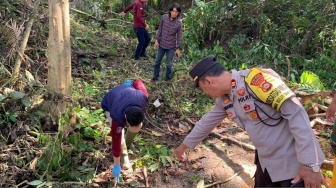 Geger! Kerangka Manusia Berserakan di Kebun Warga Musi Rawas