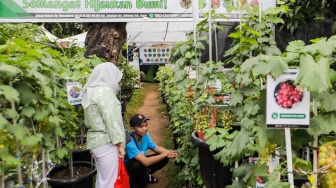 Sejumlah pengunjung melihat tanaman hias dalam Pameran Flona 2024 di Lapangan Banteng, Jakarta, Sabtu (13/7/2024). [Suara.com/Alfian Winanto]