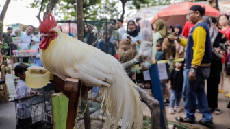 Sejumlah pengunjung melihat hewan peliharaan dalam Pameran Flona 2024 di Lapangan Banteng, Jakarta, Sabtu (13/7/2024). [Suara.com/Alfian Winanto]