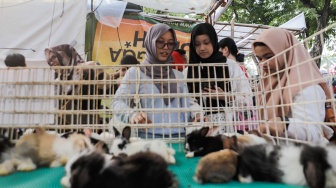 Sejumlah pengunjung melihat hewan peliharaan dalam Pameran Flona 2024 di Lapangan Banteng, Jakarta, Sabtu (13/7/2024). [Suara.com/Alfian Winanto]