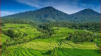 Viral di Instagram, Pesona Puncak Gunung Batukaru Bali Berselimut Awan