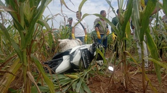 Geger! Penemuan Mayat Wanita Dalam Karung di Ladang Jagung Lampung Timur