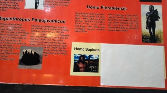 Heboh! Papan Informasi Museum Adityawarman di Padang Sebut Homo Sapiens Sebagai Gay Men, Pengelola: Kami Minta Maaf!