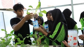 Peringati Hari Anak Nasional, Ini Cara Unik BRI Ajak Anak SD Belajar Tanam Hidroponik