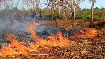 Bakar Lahan Milik PT PHR, Petani Sayur di Pekanbaru Ditangkap