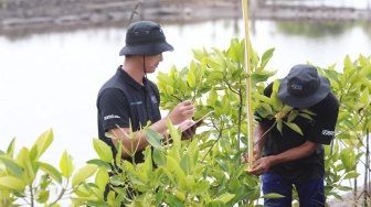 Perlahan Tergerus, BRI Peduli Beri Napas Baru untuk Hutan Mangrove Muara Gembong