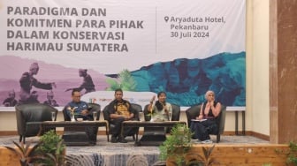 Terancam Punah, Konservasi Harimau Sumatera Harus Libatkan Semua Pihak