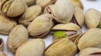 Pistachio: Sumber Protein dan Serat Lengkap untuk Tubuh