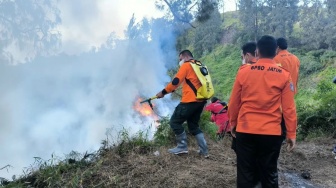 Gunung Bromo Terbakar Lagi, Pohon Pinus Hingga Edelweis Hangus