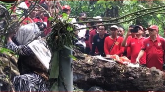 Umbi Banah: Tanaman Obat Misterius dari Bali yang Hanya Muncul Lewat Ritual Khusus