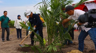 Target 60.000 Ha Peremajaan, Begini Cara PalmCo Gandeng Semua Petani Sawit Indonesia