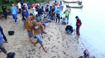 1.107 Tukik Tuntong Laut Dilepasliarkan di Aceh Tamiang