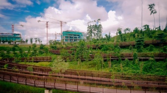 Wujudkan "Forest City" di IKN, UGM Inisiasi Wanagama Nusantara Seluas 621 Hektar