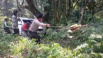 Kronologi Dua Mobil Terjun ke Jurang di Padang Panjang, Empat Orang Alami Luka-Luka