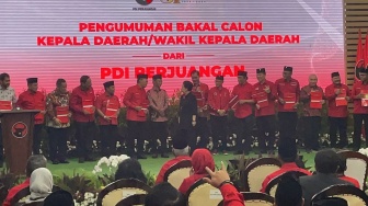 PDIP Umumkan Calon Kepala Daerah di Pilkada Riau 2024, Ini Nama-namanya