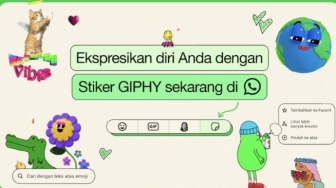 Kelola dan Cari Stiker Favorit dengan Fitur Terbaru WhatsApp: Lebih Praktis dan Seru!