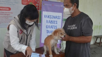 Pemkot Jogja Segera Gelar Vaksinasi Rabies Gratis, Simak Persyaratannya