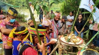 Pipih Janji, Kosong Aksi: Mengungkap Kekecewaan Masyarakat Adat Terhadap Jokowi