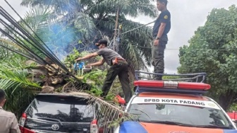 Mobil Warga Rusak Parah Ditimpa Pohon Tumbang di Kota Padang