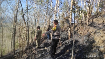 Penampungan Bantuan Kemenhan Terbakar Gegara Petani di Gedangsari Bakar Lahan