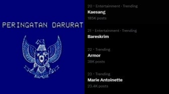 Arti Garuda Biru yang Ramai Jadi IG Story, WA Story, akun X, dan PP Media Sosial