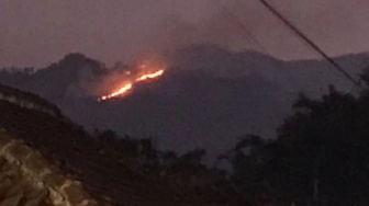 Hutan Kawasan Coban Rondo Terbakar, Gelap Sulitkan Pemadaman