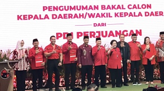 Parpol KIM Pecah? Reaksi PDIP usai Golkar Resmi Duetkan Airin-Ade di Banten: Terserah Mau Gabung atau Tidak