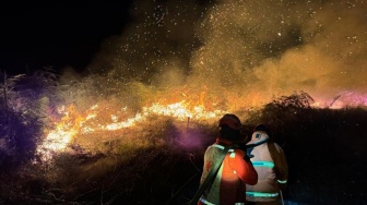 6 Perusahaan Perkebunan di Kalbar Diduga Terlibat Kebakaran Lahan