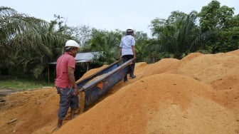 PLTU Ombilin Manfaatkan Limbah Serbuk Kayu untuk Gantikan Batu Bara, Perekonomian Masyarakat Kian Meningkat