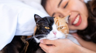 Catlovers & Doglovers Wajib Tahu: Tips Tidur Sehat Dengan Hewan Peliharaan Kesayangan