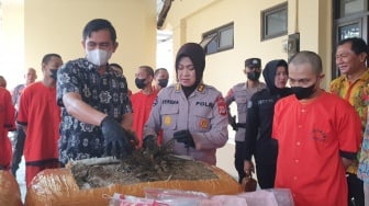 Cara Jaringan Ganja Lintas Provinsi Kelabui Petugas, Edarkan Lewat Medsos dan Dipaket Bersama Baju