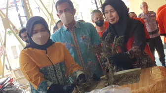 Jaringan Ganja Antar Provinsi Jogja-Medan-Aceh Dibongkar, 1 Kg Lebih Ganja Disita!