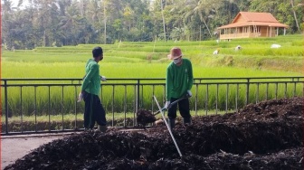 Sempat Ditolak Warga, Kini TPS3R Desa Keliki Bisa Hasilkan 1 Ton Pupuk Dalan Sebulan