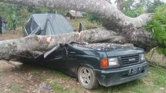 Mobil Tertimpa Pohon di Kebun Durian Langkat, 3 Orang Meninggal