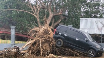 Angin Kencang di Aceh Besar Sebabkan 22 Pohon Tumbang, Atap Sekolah Terbang