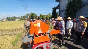 Optimalisasi 22 Hektare Lahan Tidur di Moyudan Sleman, Hasil Panen Capai 193 Ton Lebih