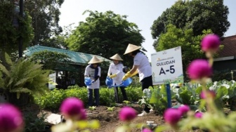 BRI Borong Penghargaan Merdeka Award 2024 Berkat Program Urban Farming BRInita