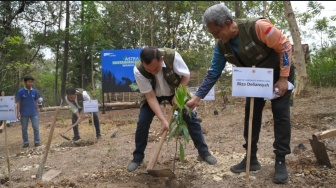 KLHK Gandeng Astra dan UGM Komitmen Lestarikan Hutan Wanagama Gunungkidul