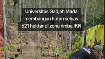 Hutan Wanagama Nusantara: UGM Jadi Pionir "Smart Forest City" di IKN