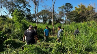 Keeper di Bali Safari And Marine Park Tewas Diseruduk Gajah Agresif