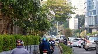 Warga berjalan di bawah pohon tabebuya di Jalan Jenderal Sudirman, Jakarta, Jumat (27/9/2024). [Suara.com/Alfian Winanto]