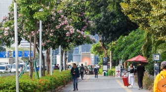 Tak Hanya Cantik, Ini 7 Manfaat Bunga Tabebuya yang Jarang Diketahui