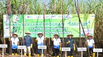 Petrokimia Gresik Berhasil Jalankan Program Makmur dengan Tingkatkan Produktivitas dan Pendapatan Petani