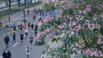 Bukan Sekadar Estetika! Pohon Tabebuya Jadi Senjata DKI Lawan Polusi Udara